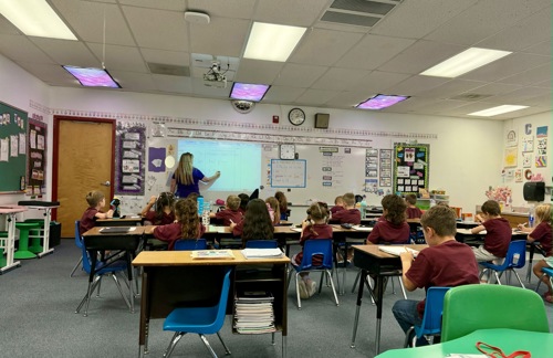 Judy Chesla splits her time teaching and mentoring beginning teachers at Fort Mohave Elementary School.